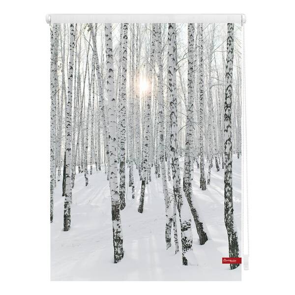 

Рулонные шторы Lichtblick Birkenwald, 45x150x6 см цвет weiß/schwarz