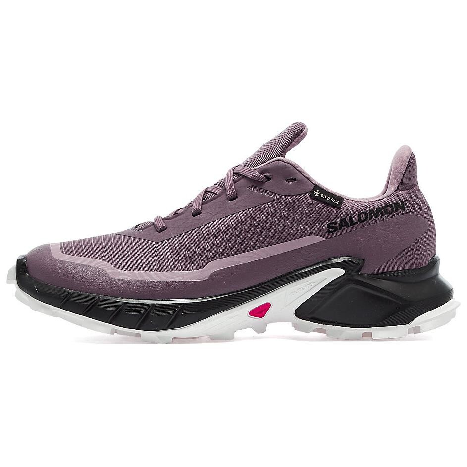 

Кроссовки SALOMON Women's Alphacross 5 GORE-TEX 'Moonscape', черный