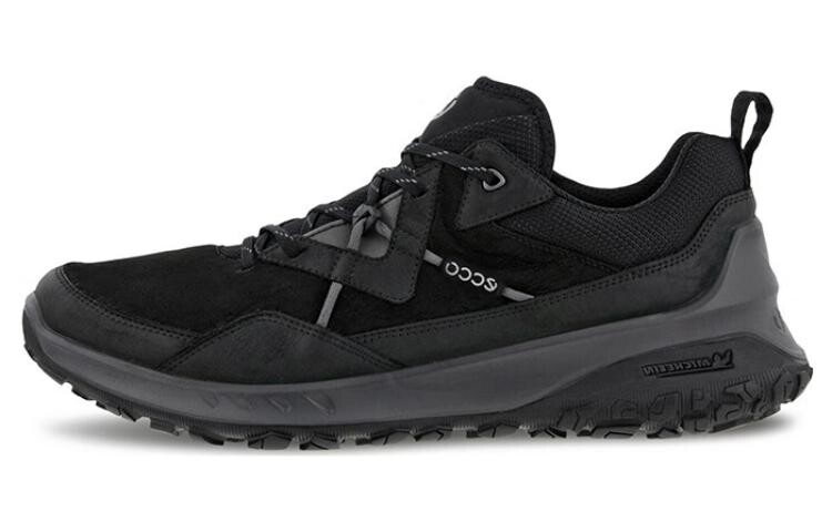 

Кроссовки Ecco Casual Shoes Men Low-Top Black, черный