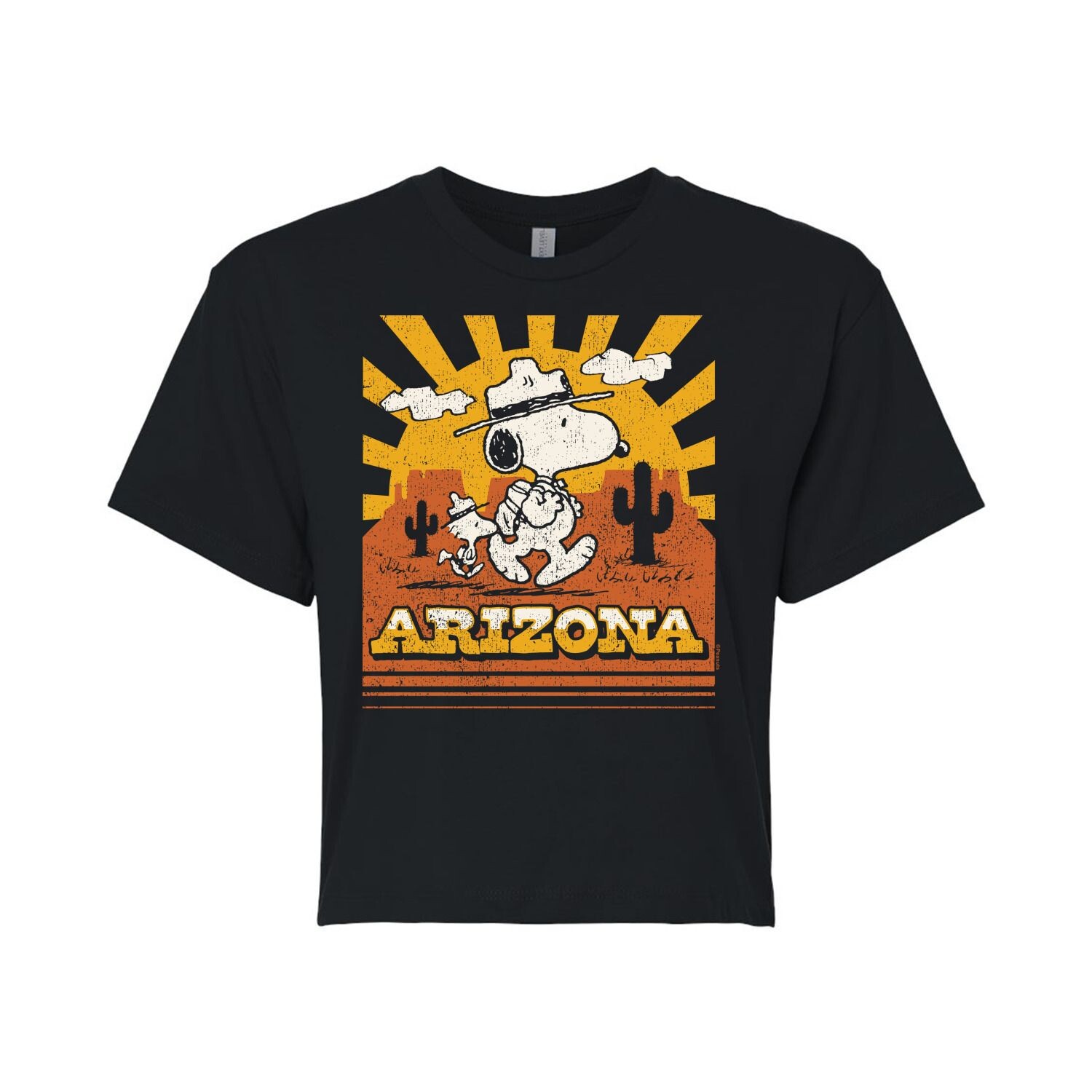 

Укороченная футболка с рисунком Snoopy & Woodstock для детей Peanuts "Arizona" Licensed Character