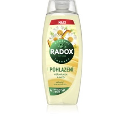 

Mineral Therapy 450 мл гель для душа Radox