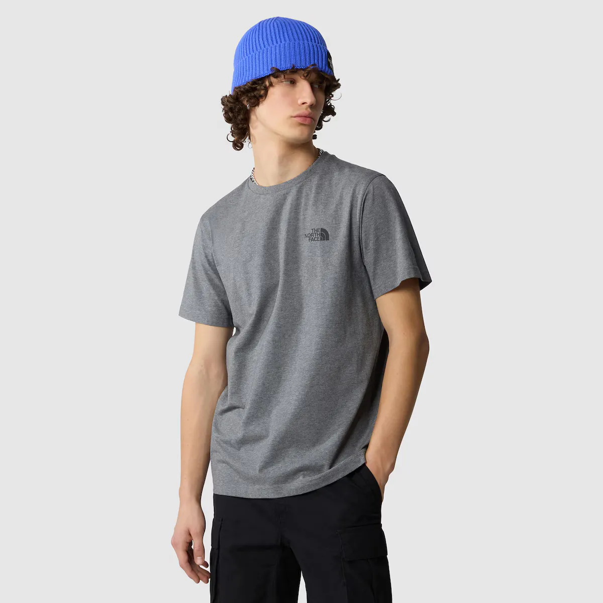 

Мужская футболка Simple Dome The North Face, серый