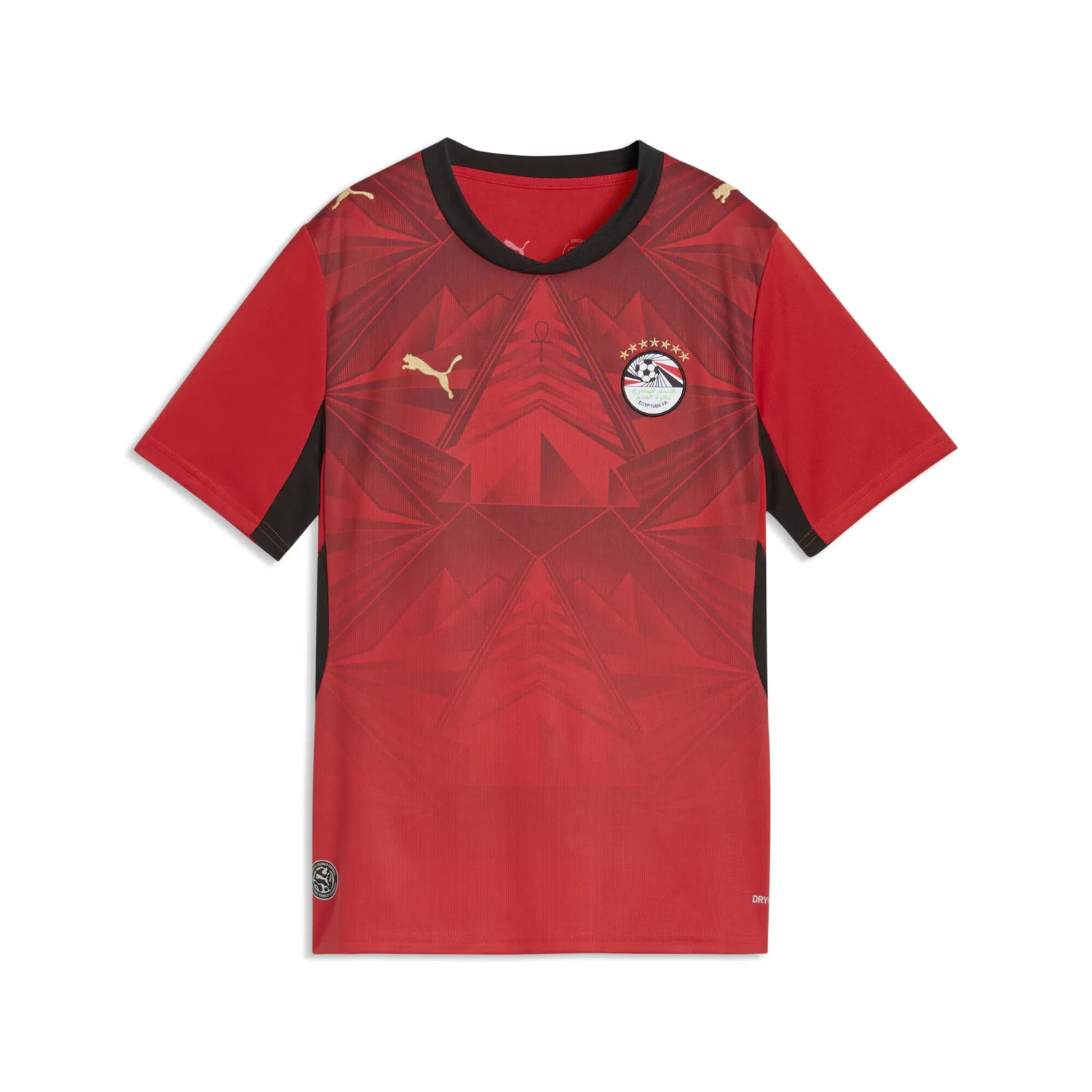 Спортивная футболка 'Ägypten' Puma, Red