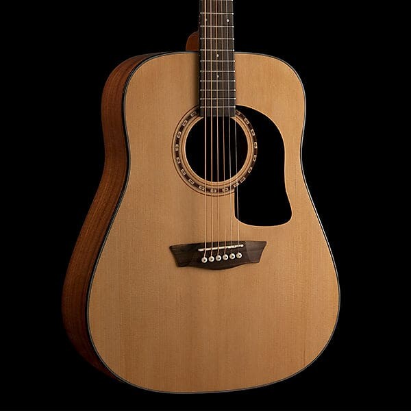 

Акустическая гитара Washburn Apprentice D5 with Hardshell Case - AD5K