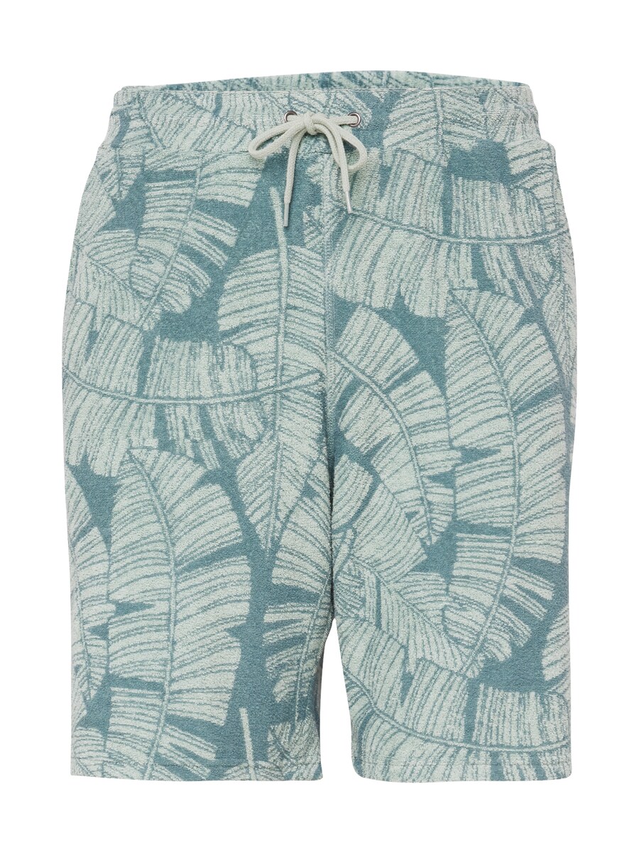 

Шорты Iriedaily Regular Pants Bananos, цвет green/mint