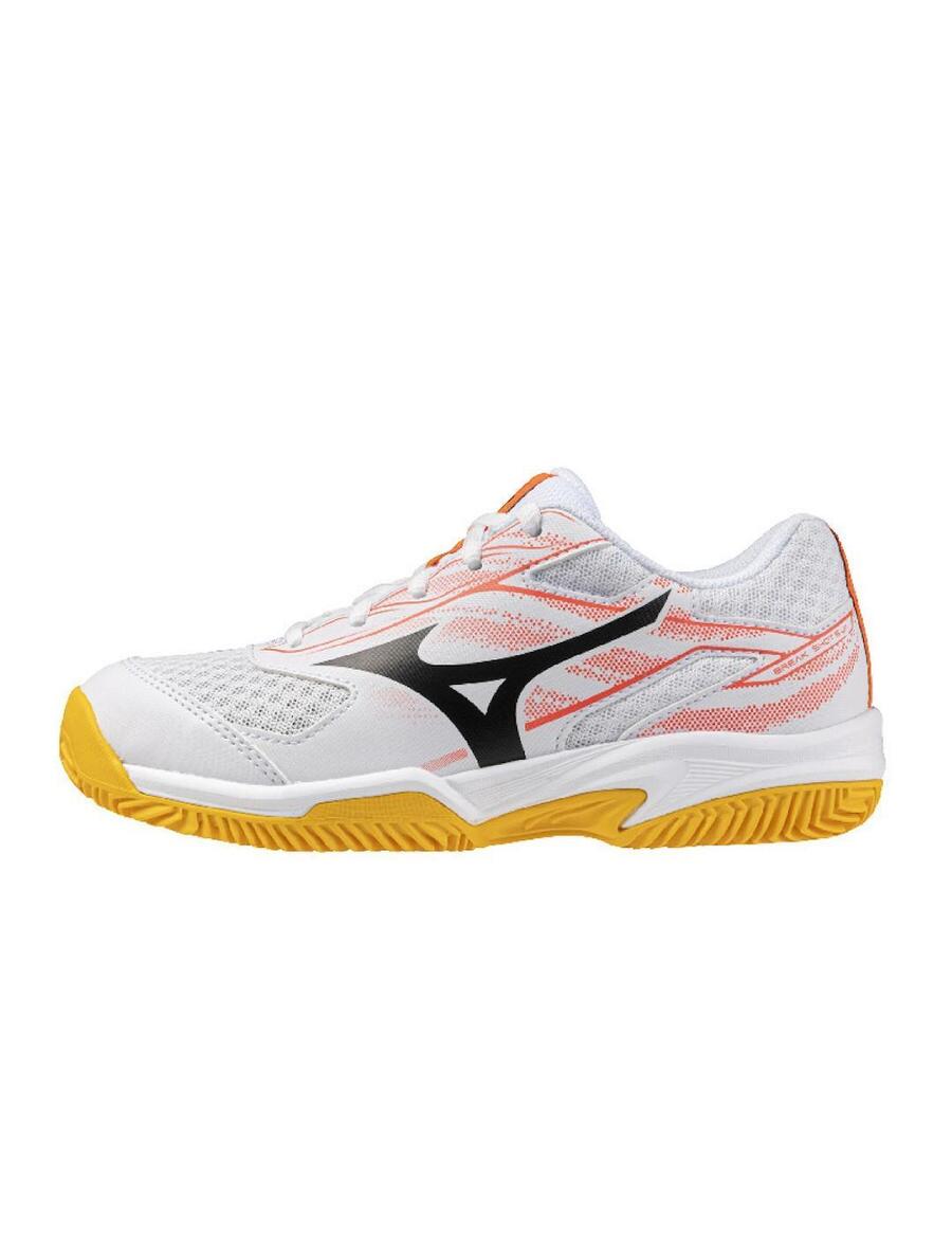 

Кроссовки мужские Mizuno Breakshot Multicolor
