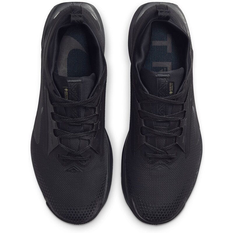 Кроссовки Pegasus Trail 5 GTX Nike, мультиколор — фото 4