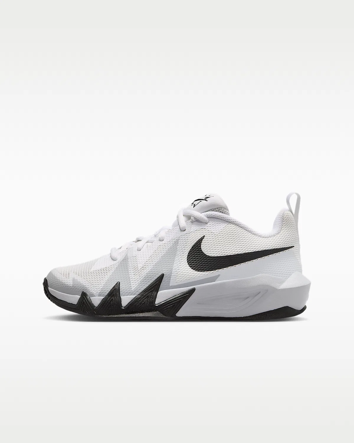 Кроссовки баскетбольные Nike S.T. Dynamite для старших детей, White/Summit White/Pure Platinum/Black