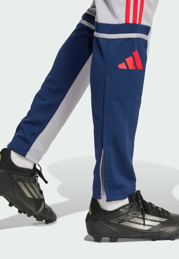 Спортивные брюки adidas performance squadra 25 для тренировок Adidas Performance, Glory Grey Team Navy Blue Pure Ruby — фото 3