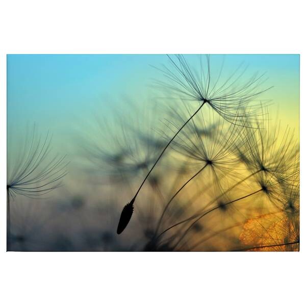 

Фреска A.S. Création Flying Dandelion цвет gelb/blau