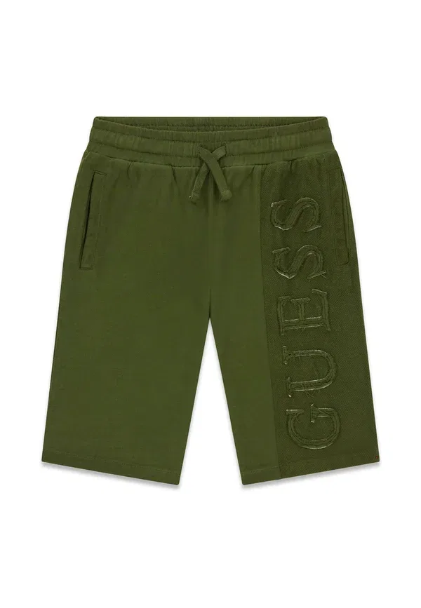 Спортивные штаны с боковым логотипом Guess, зеленый