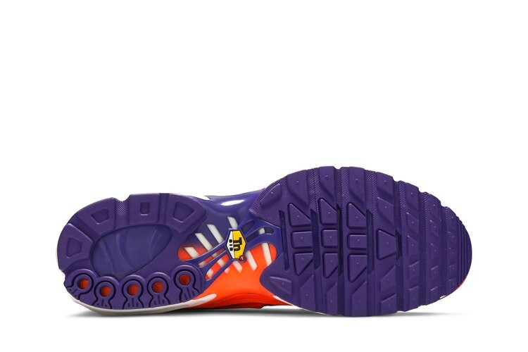 Кроссовки Nike Air Max Plus 'Color Flip', разноцветный — фото 4