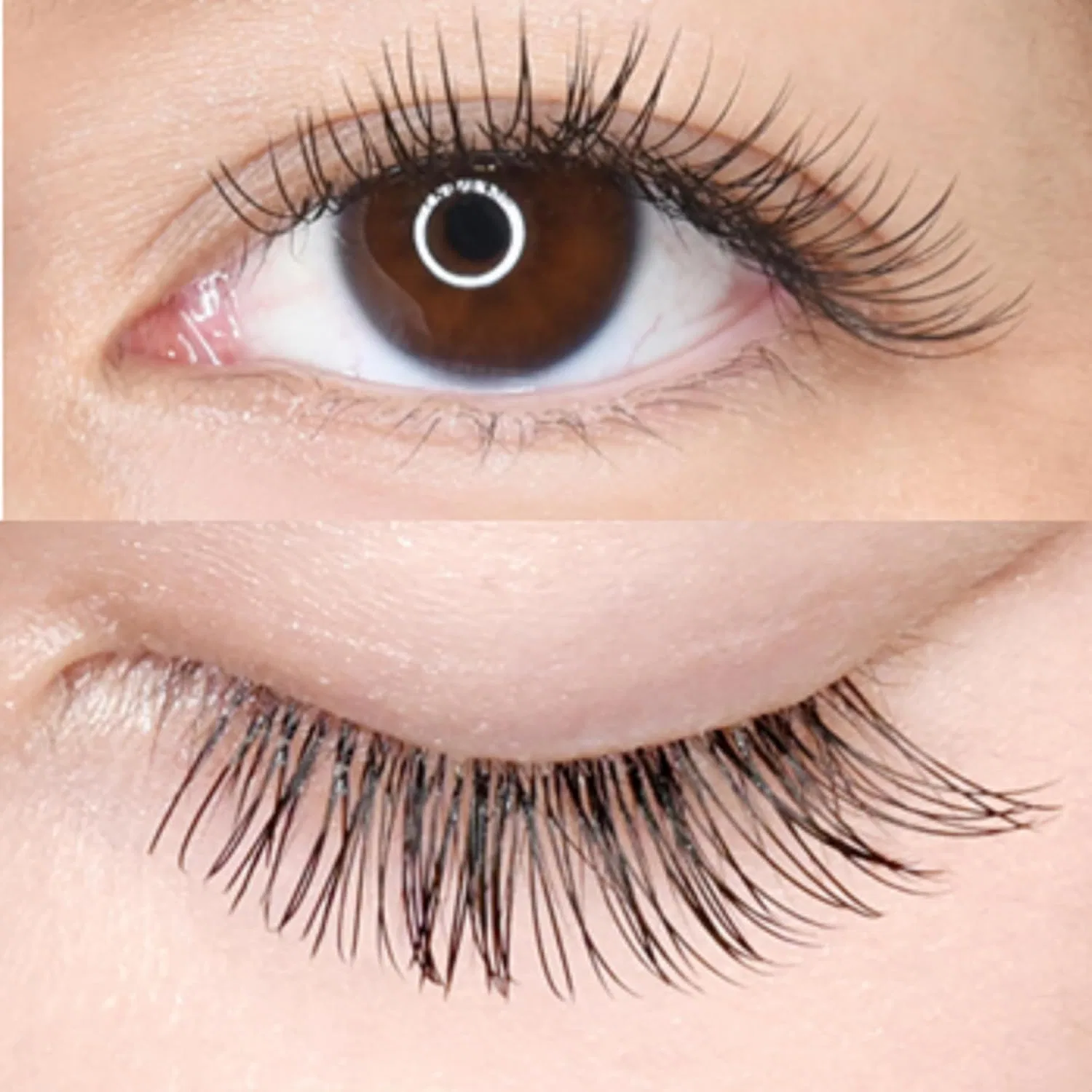 Ресницы Foula Air Sable Flat J Curl 0.20 мм MIX — фото 4