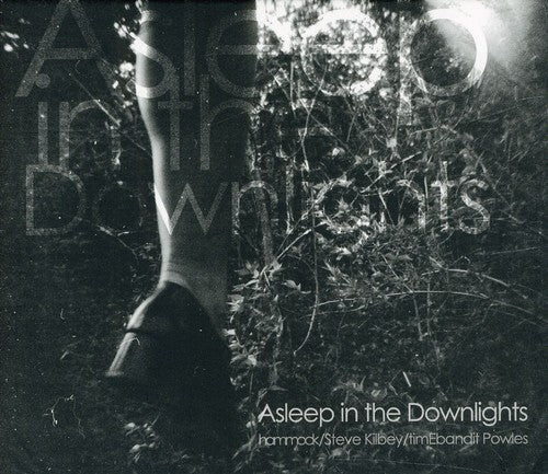 

CD диск Hammock: Asleep in the Downlights