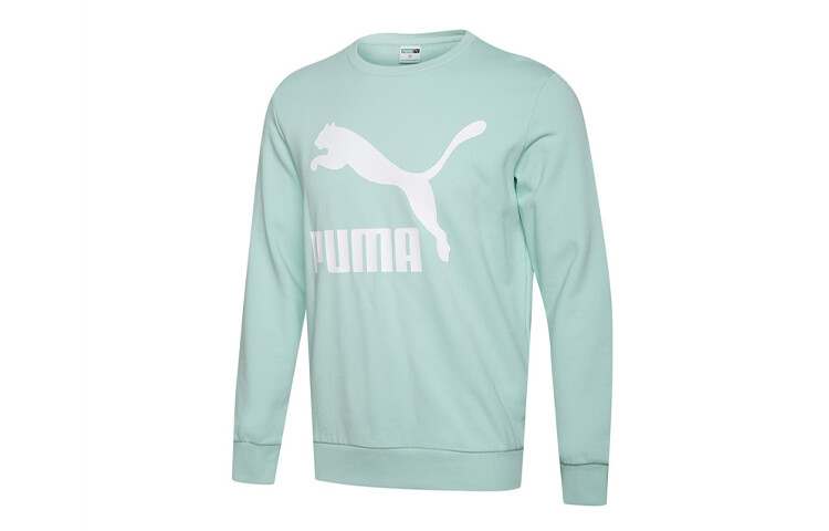 

КЛАССИКА Толстовка мужская Verdant Green Puma, зеленый