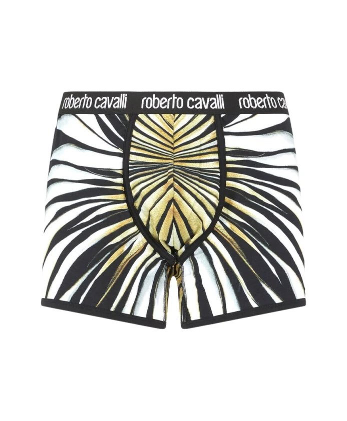 

Боксерские шорты с принтом в виде золотых лучей Roberto Cavalli, мультиколор