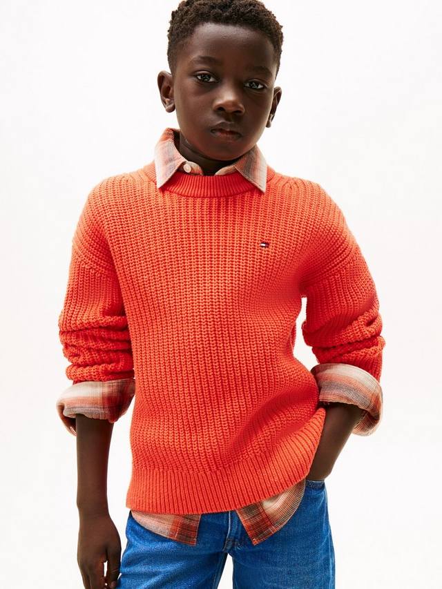 

Детский джемпер из хлопковой смеси Tommy Hilfiger, Horizon