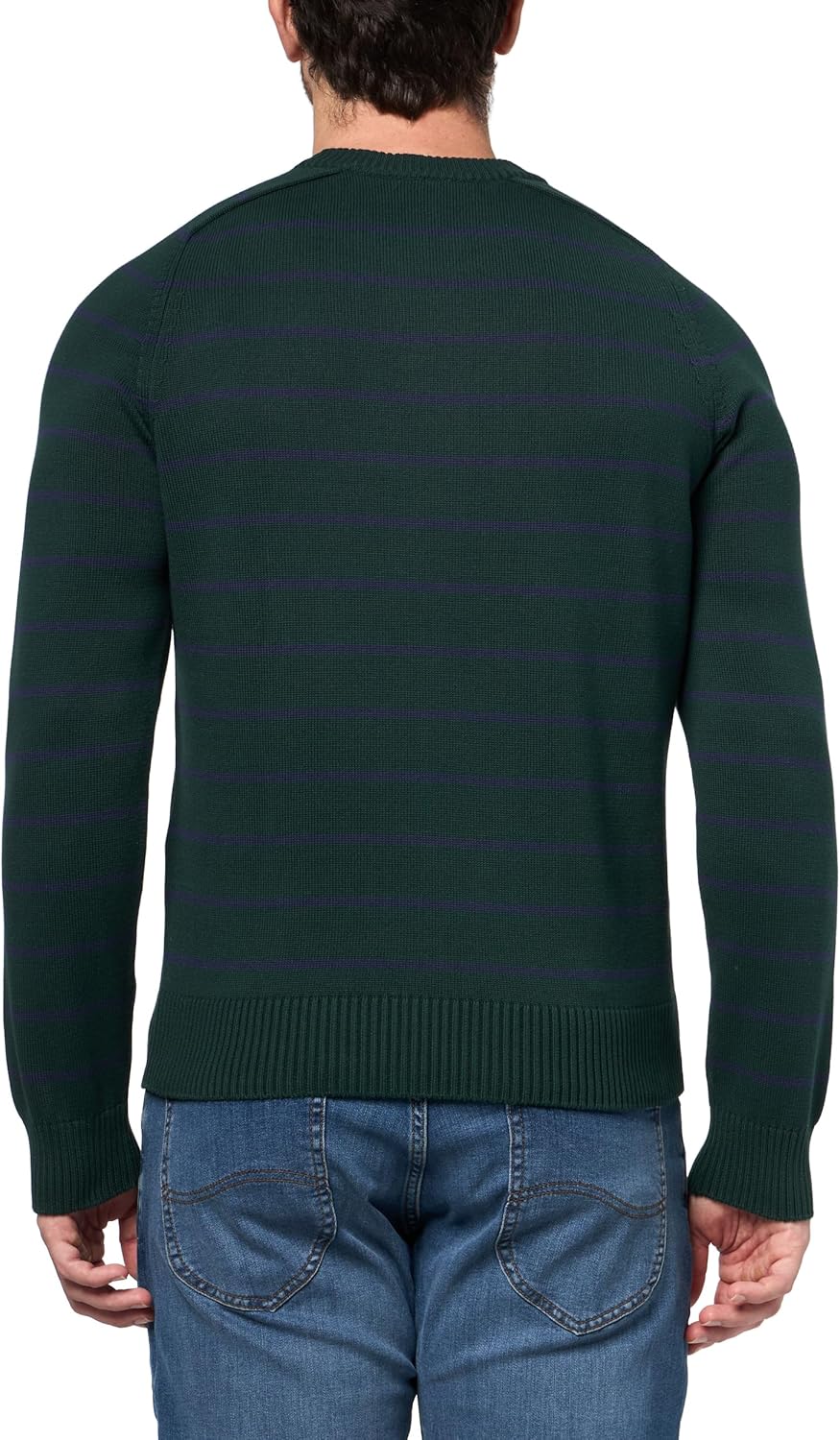 Lacoste мужской полосатый 3D вязаный хлопковый свитер с круглым вырезом, Sinople/Navy Blue — фото 2