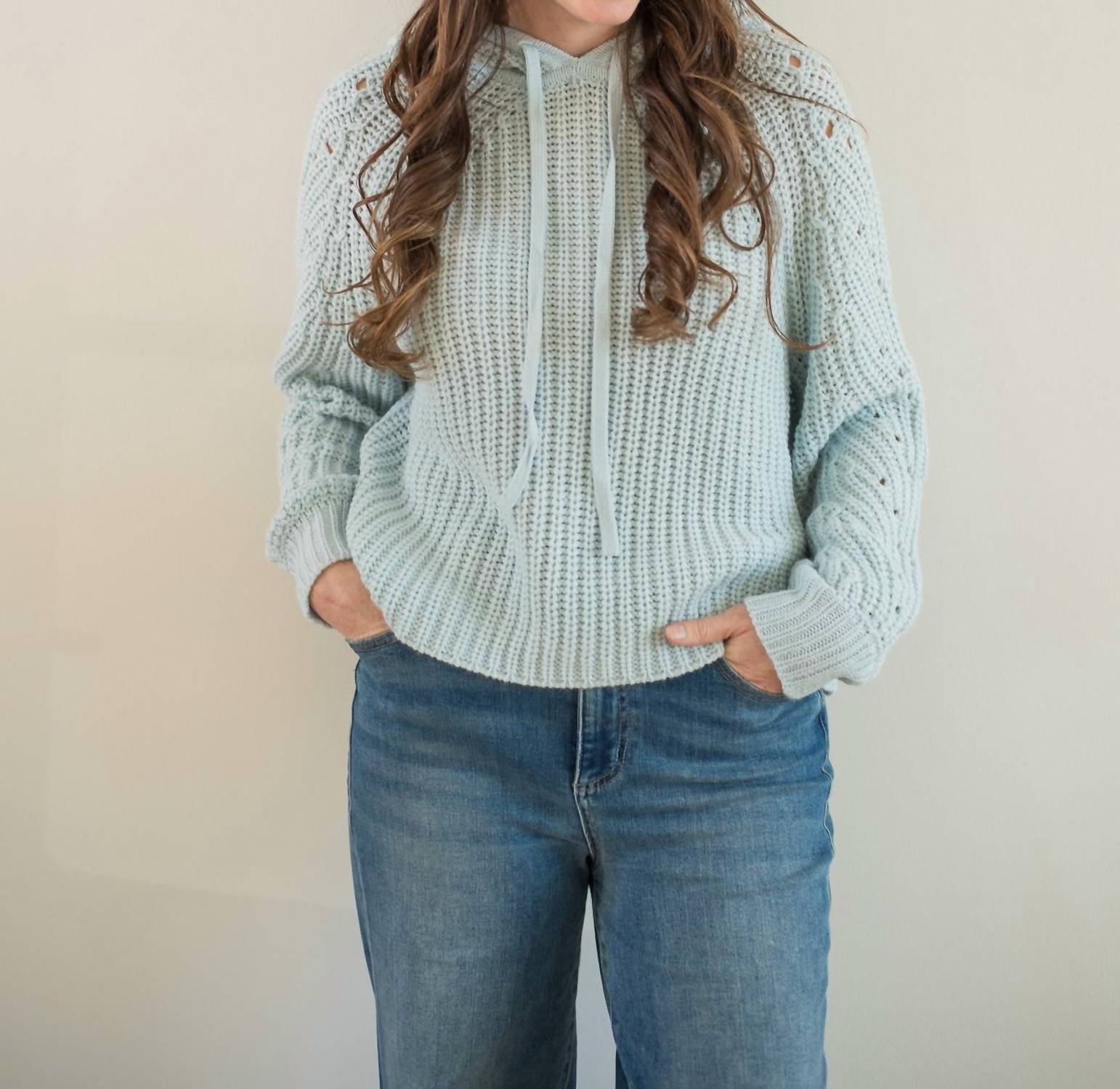 

Свитер с капюшоном Peri In Sky Stitches & Stripes