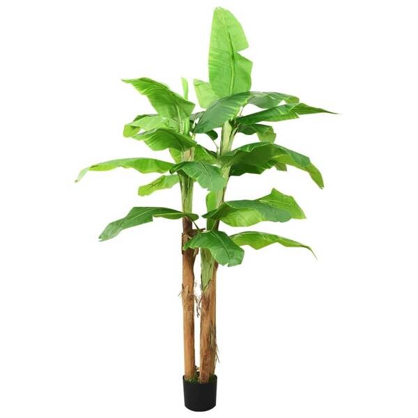 

Декоративное растение vidaXL Bananenbaum 3006875, зеленый