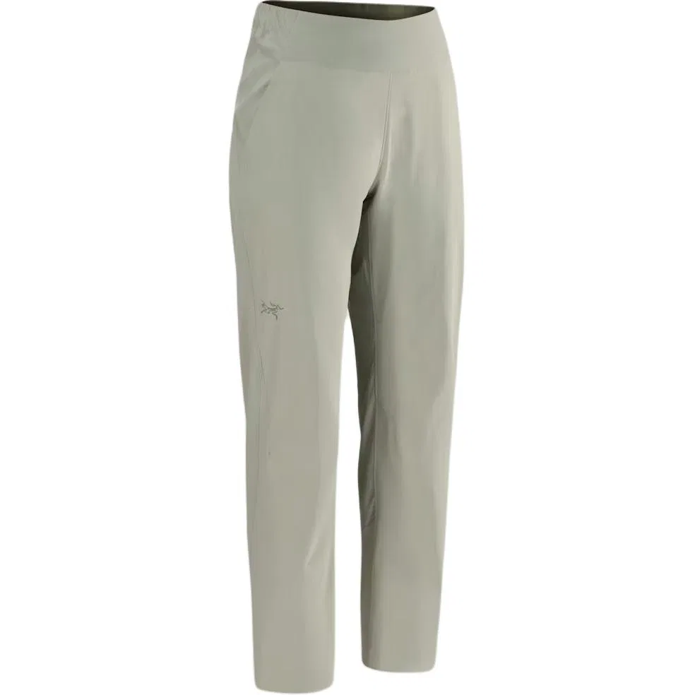 Повседневные брюки с брендовой графикой Arcteryx в вариации Stone Gray Green/Habitat