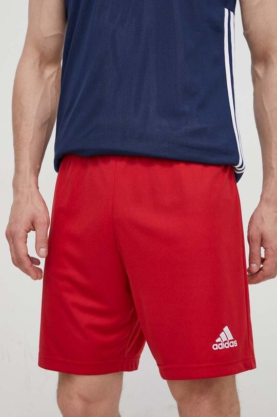 

Тренировочные шорты Entrada 22 H61735 adidas Performance, красный