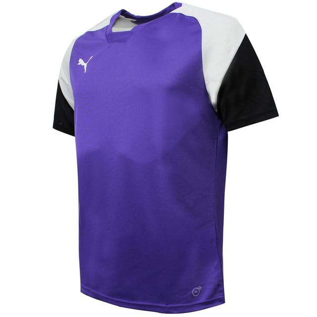 

Мужская футбольная тренировочная футболка Esito 4 Puma, фиолетовый