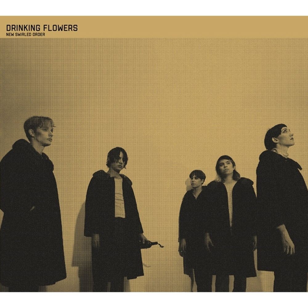 

Виниловая пластинка LP New Swirled Order - Drinking Flowers