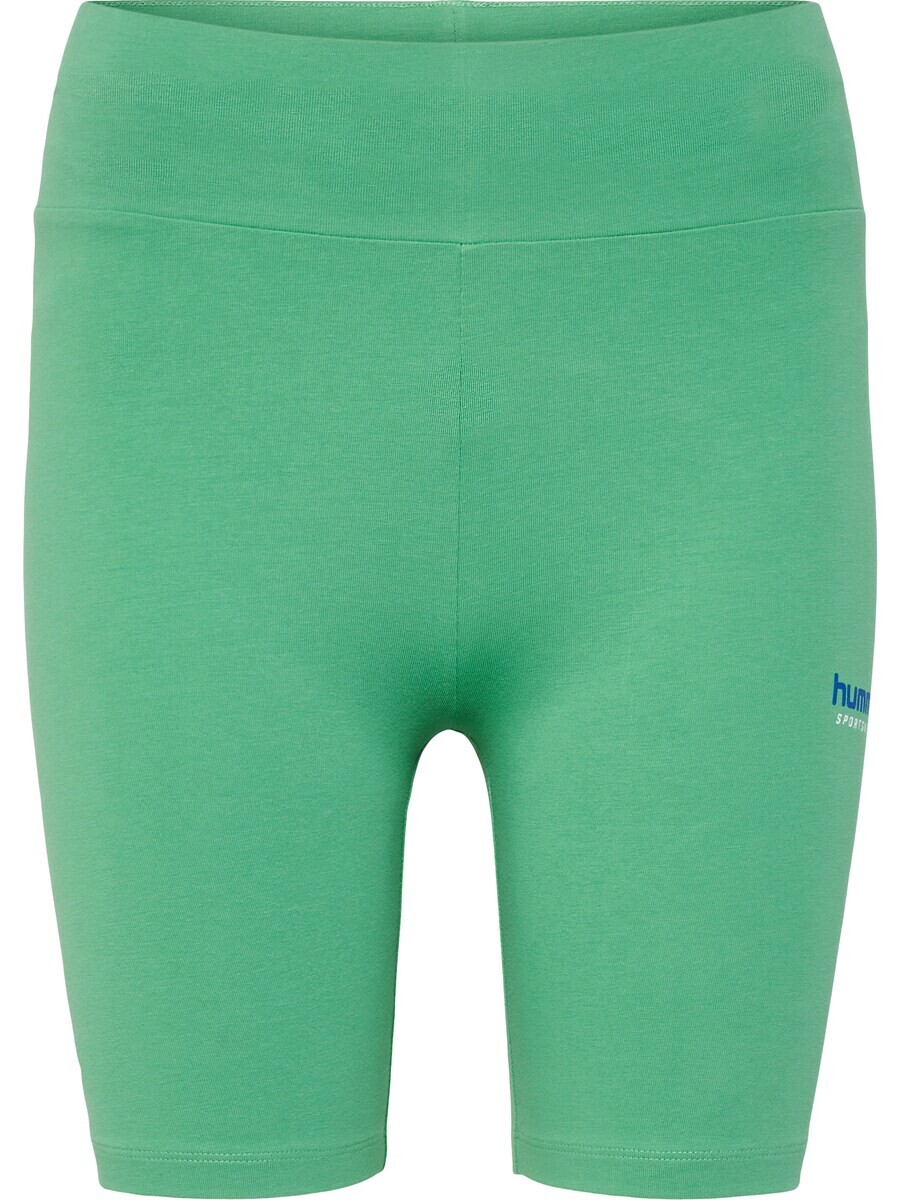 

Спортивные брюки Hummel Skinny Workout Pants Cameron, зеленый