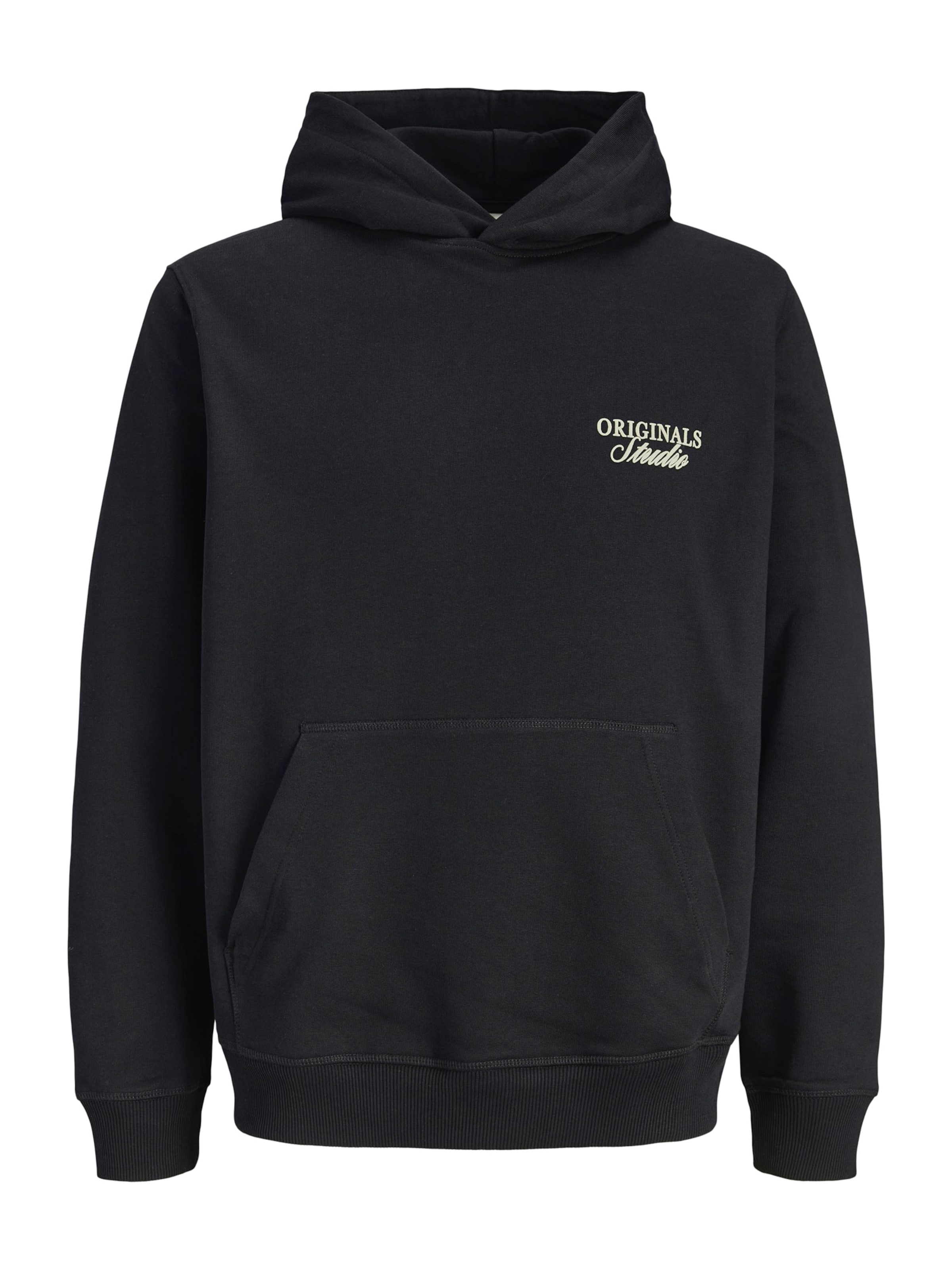 

JACK & JONES Толстовка 'JORNORREBRO' в черном цвете