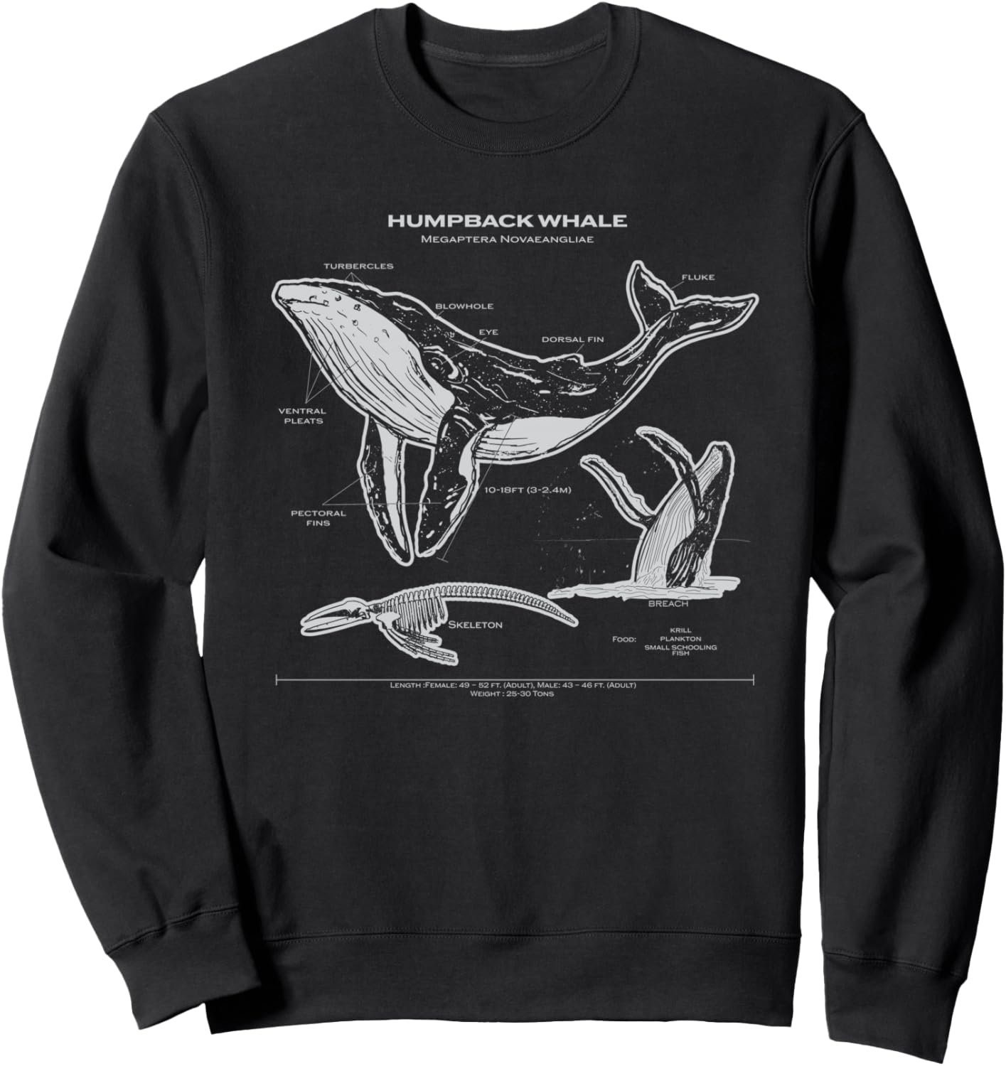 

Толстовка с изображением анатомии горбатого кита, толстовка на морскую тематику с изображением кита Wildlife Anatomy, черный