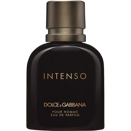 Мужская парфюмерная вода Intenso Pour Homme Dolce & Gabbana, 75 мл