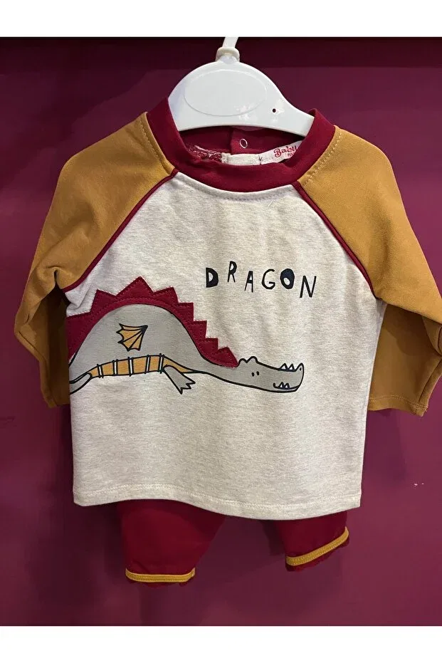 Детский комплект из футера с принтом Dinosaur Embroidered Tracksuit Set Baby Pjs, Çok Renkli