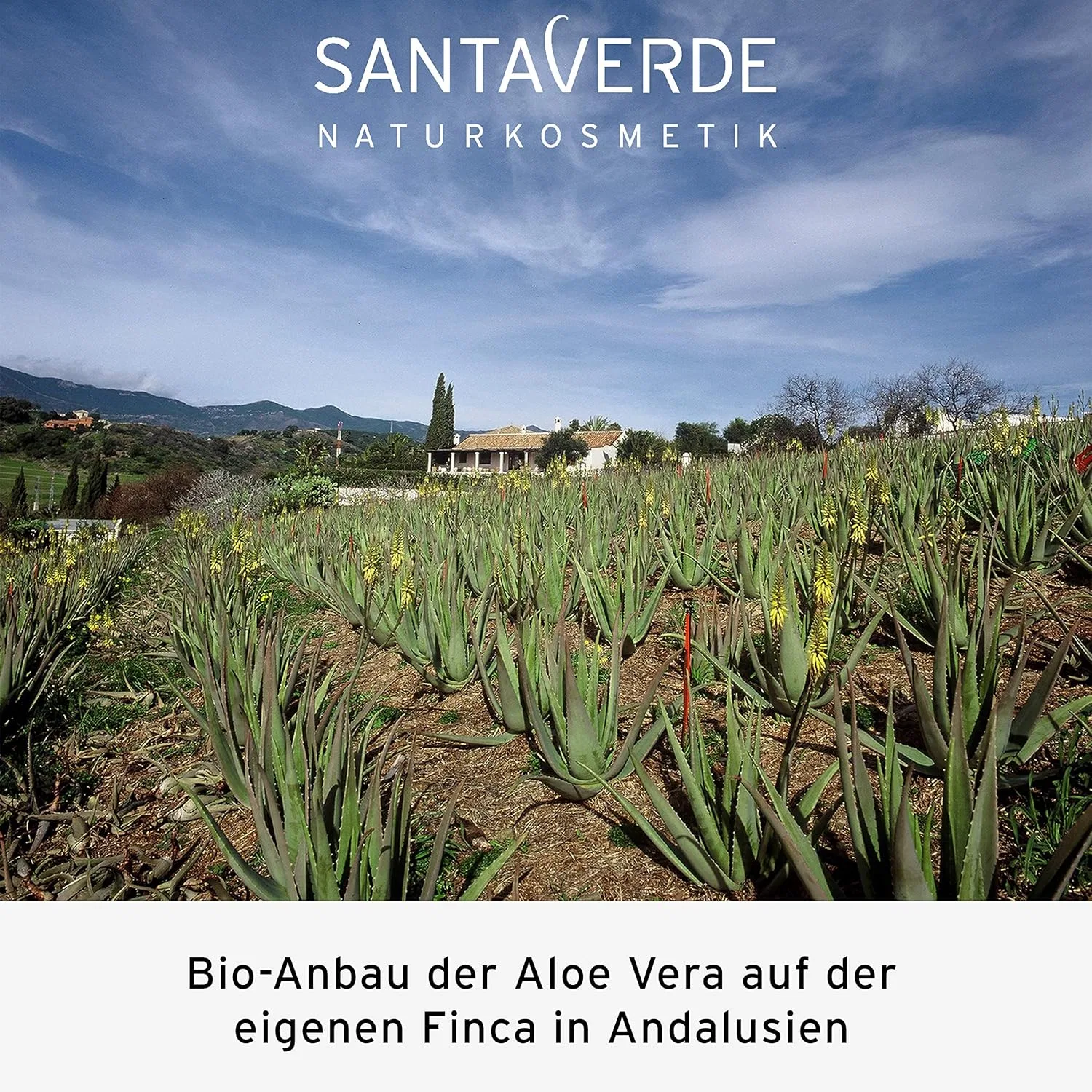 Лосьон для тела Aloe Vera Classic, Santaverde, 150 мл — фото 4