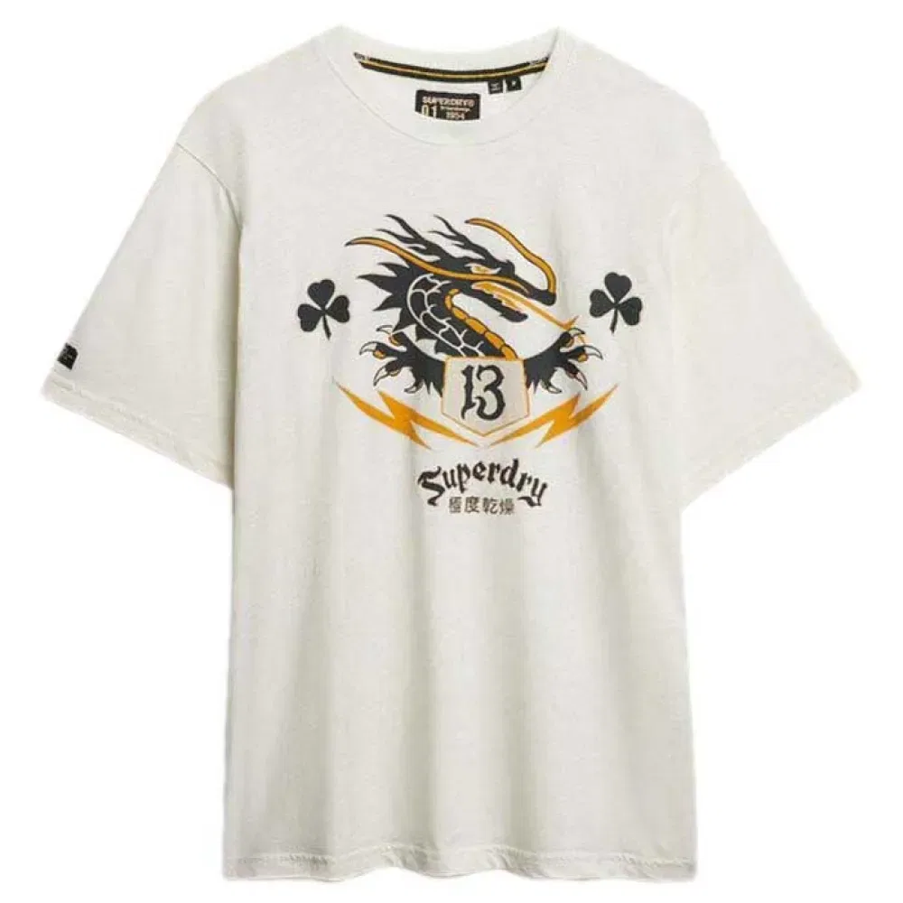 Мужская футболка свободного кроя с принтом Campaign Souvenir Superdry, Beige