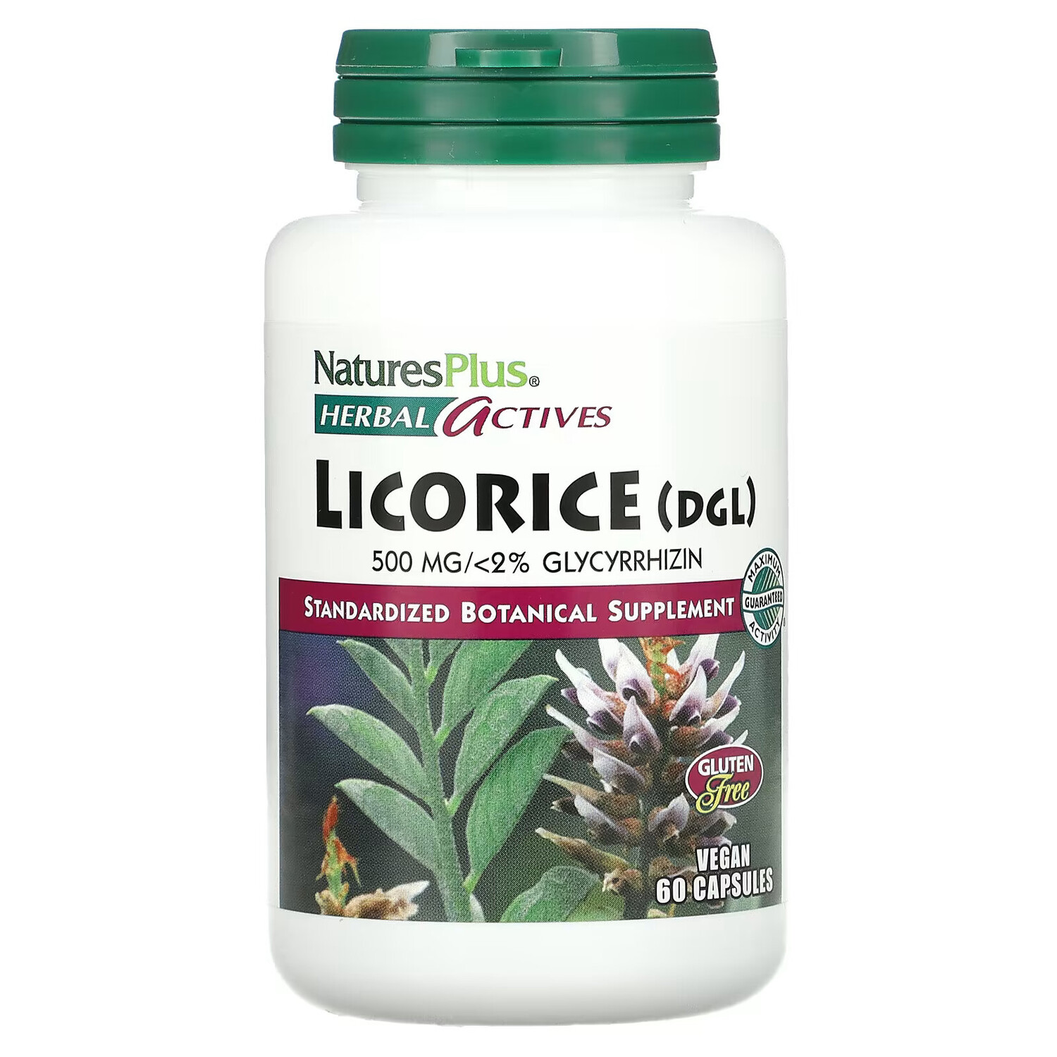 

NaturesPlus, Herbal Actives, солодка (DGL), 500 мг, 60 вегетарианских капсул
