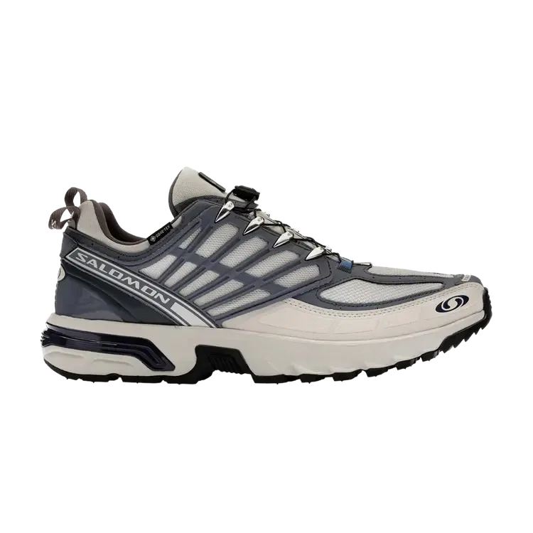 Кроссовки Salomon ACS Pro GORE-TEX, серый