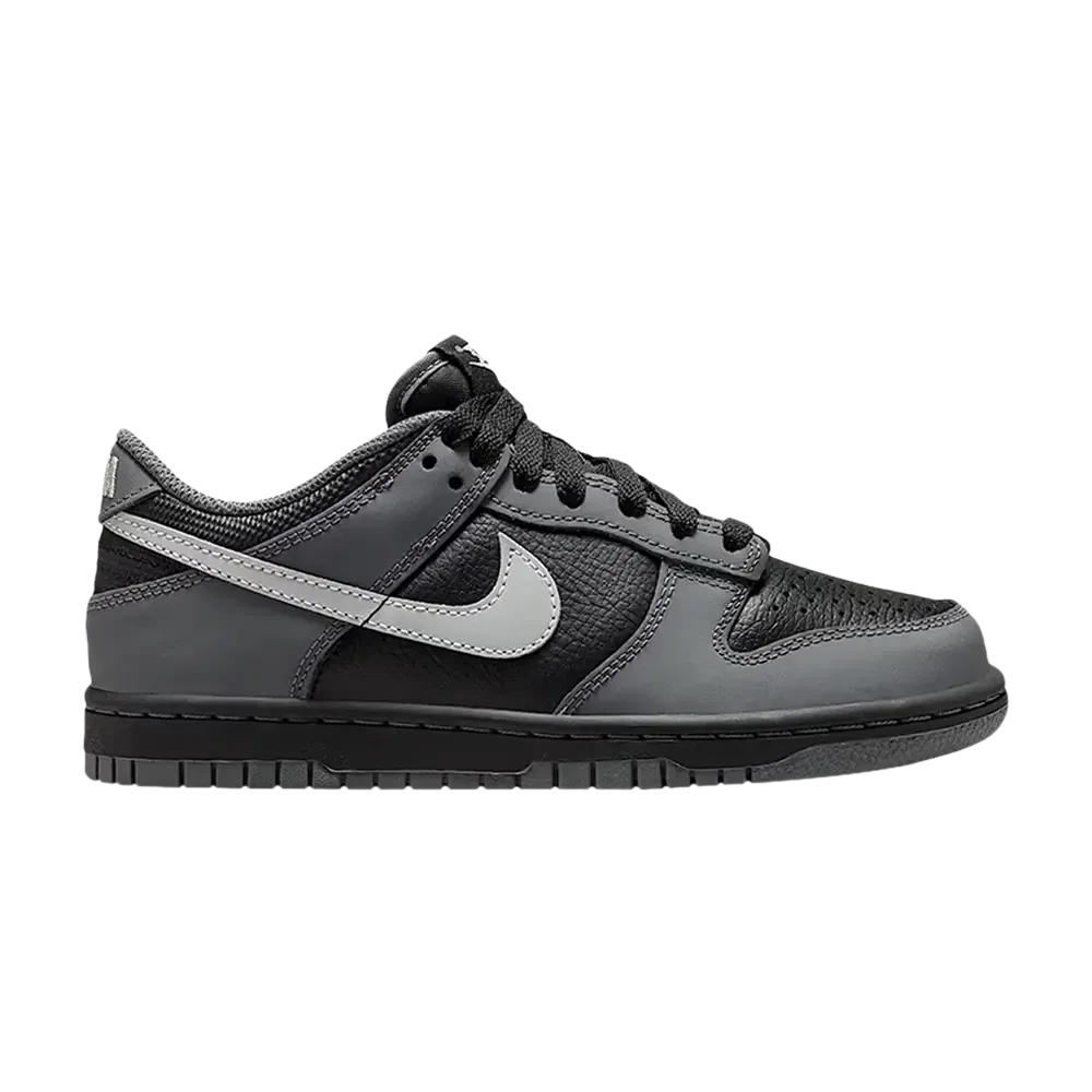 Кроссовки низкие Nike Dunk Low GS Black Reflect Silver, Nike