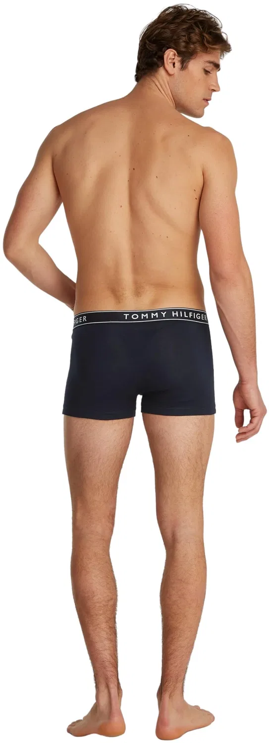 Мужские боксеры из 3 штук Tommy Hilfiger, Red (Des Sky/Des Sky/Des Sky) — фото 2
