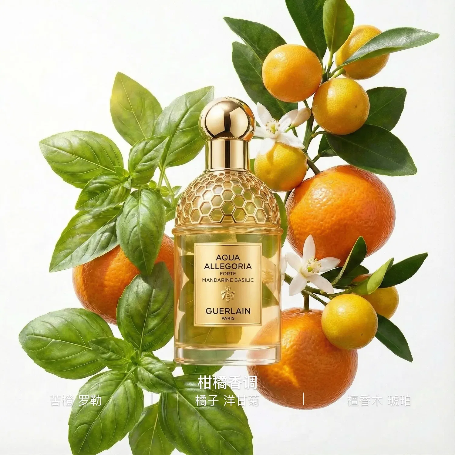 Парфюмерная вода Citrus Basil, 200 мл, GUERLAIN, Citrus Floral — фото 2