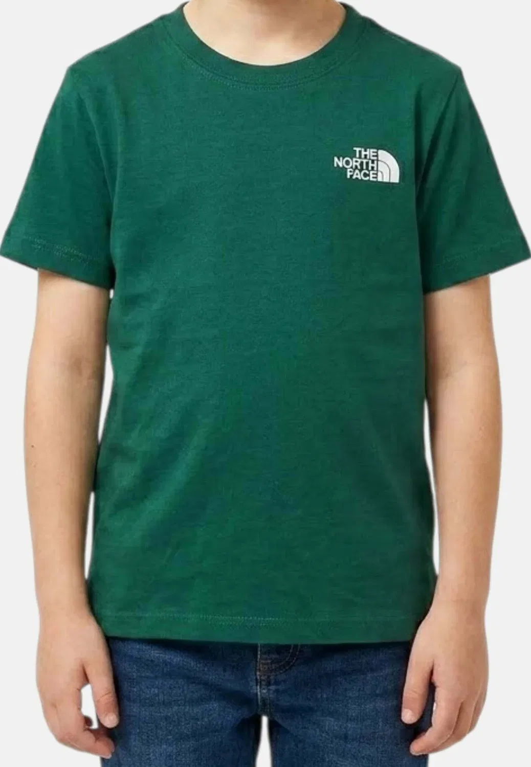 Футболка m/c teen sibli reg col n4j - футболка с принтом The North Face, Green