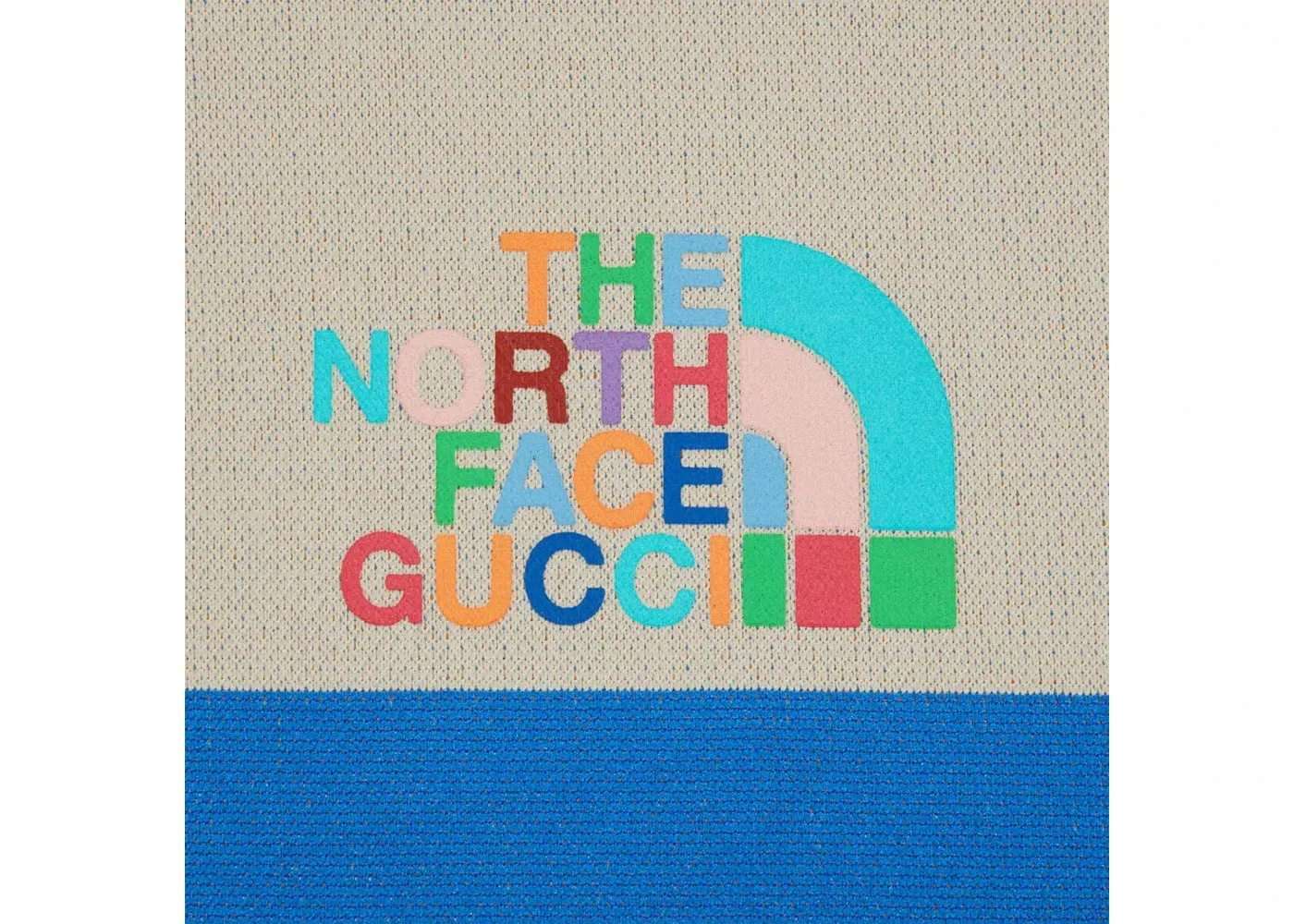 Мужская куртка с капюшоном Gucci x The North Face, Ivory/Green — фото 2