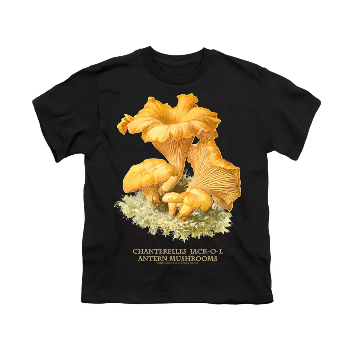 Детская футболка с принтом Chanterelles LOGOVISION, Black — фото 2