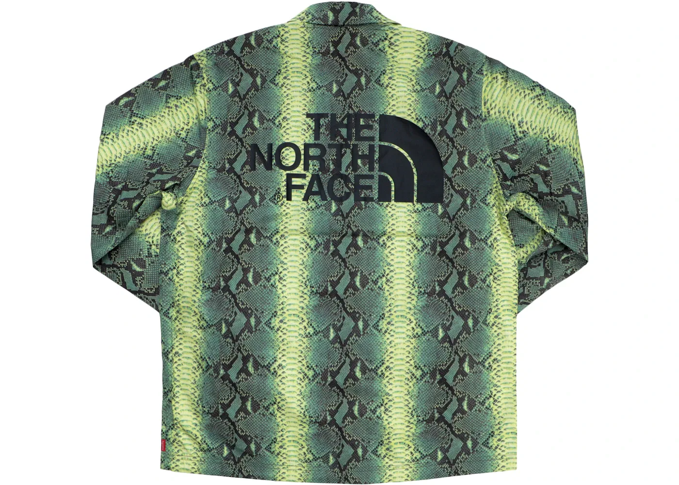 Мужская куртка с принтом Supreme The North Face Snakeskin Taped Seam Coaches Jacket, Green — фото 2