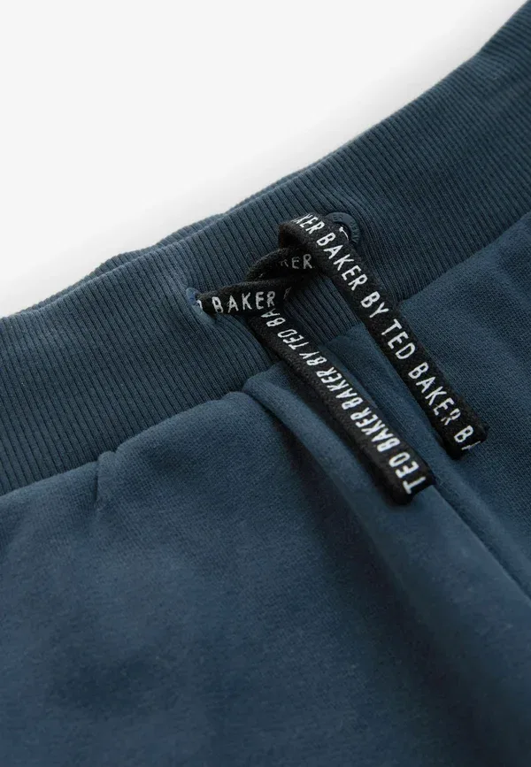 Спортивные штаны Regular fit Baker By Ted Baker, темно-синий — фото 4