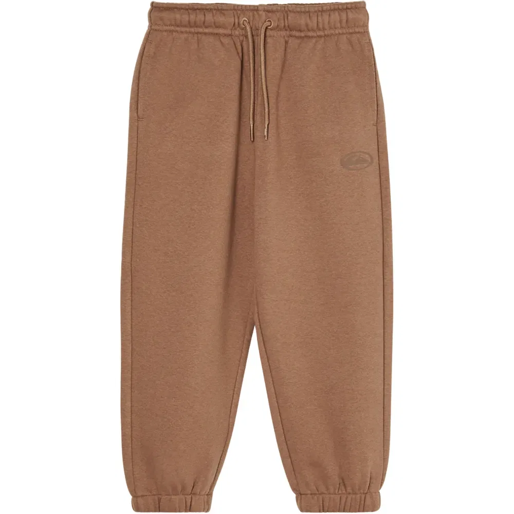Детские спортивные штаны для мальчиков с вышивкой Quiksilver, Brown — фото 3