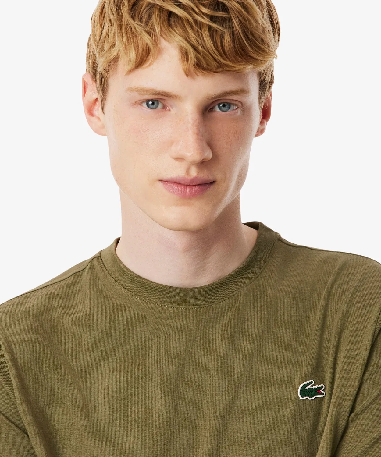 Мужская футболка с принтом LACOSTE, Оливковый — фото 3