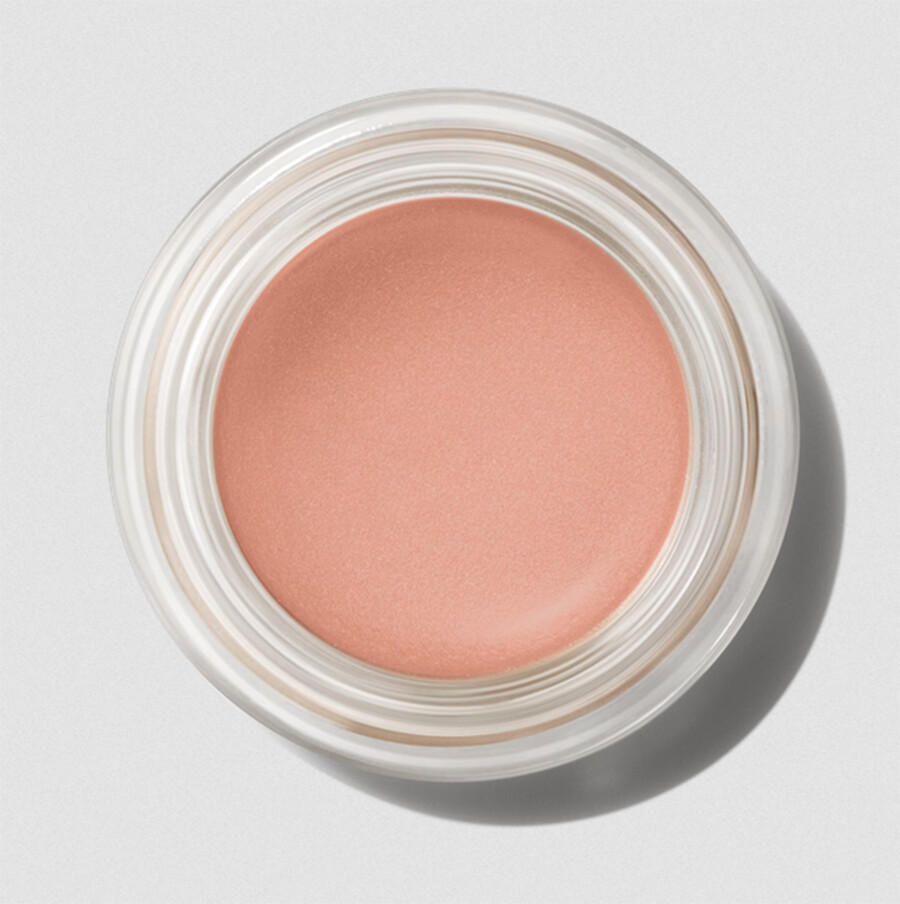 

Тени для век M.A.C Paint Pot, layin' low
