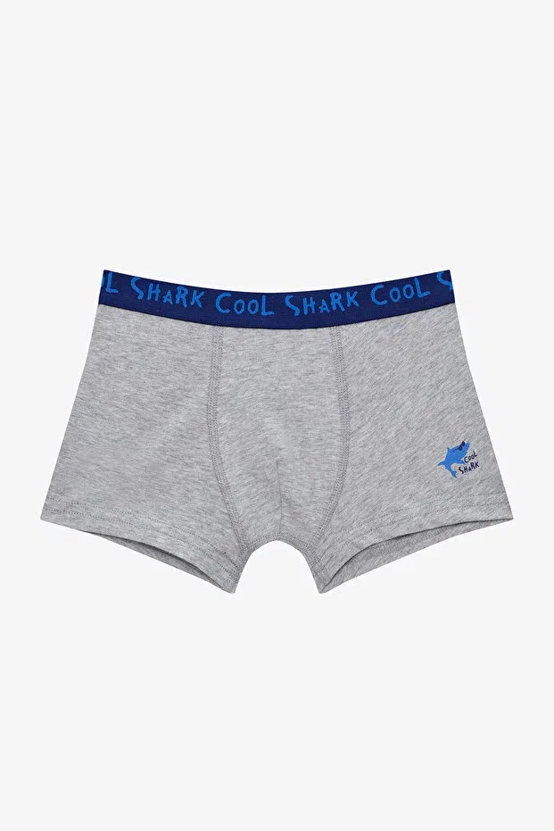 Детское белье для мальчиков с принтом Cool Boy Shark Penti, Multicolor — фото 2