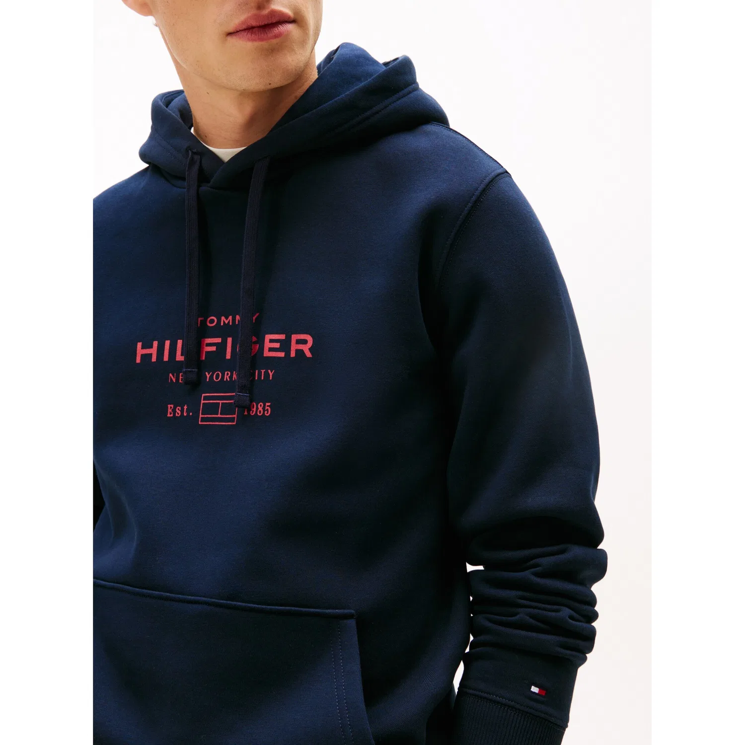 Мужской худи с принтом Tommy Hilfiger, Desert Sky — фото 2